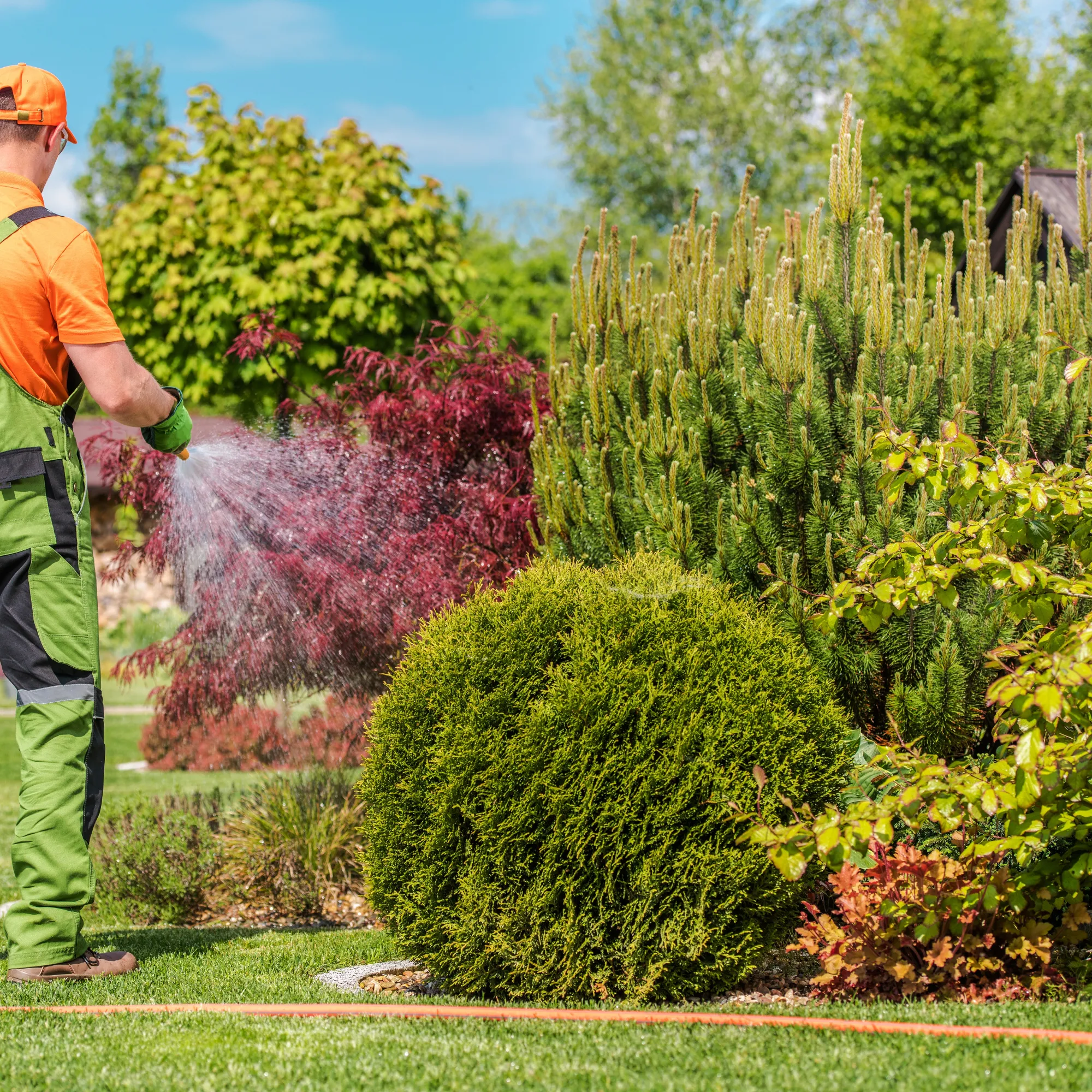 Le secret d&rsquo;un jardin resplendissant en toute saison